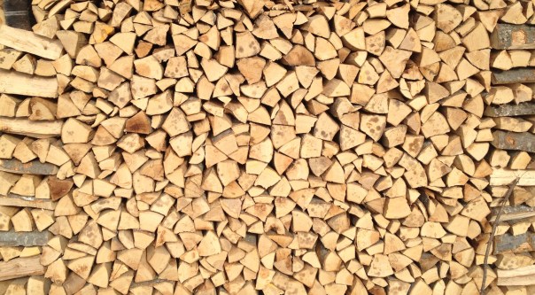 Le bois de feu à Cergnement