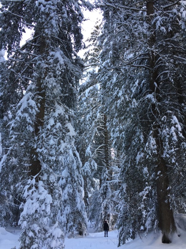 2016-cergnement-ouverture-saison